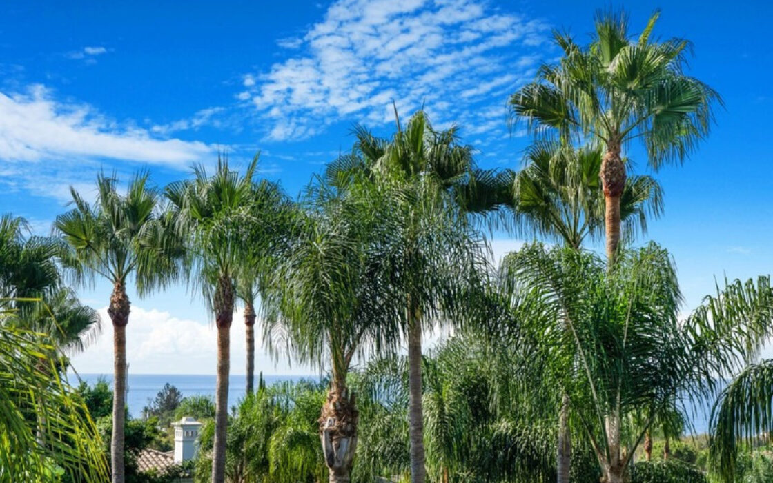 Вілла в Золотій милі, 573 кв.м, тераса, з меблями