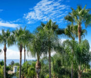 Вілла в Золотій милі, 573 кв.м, тераса, з меблями