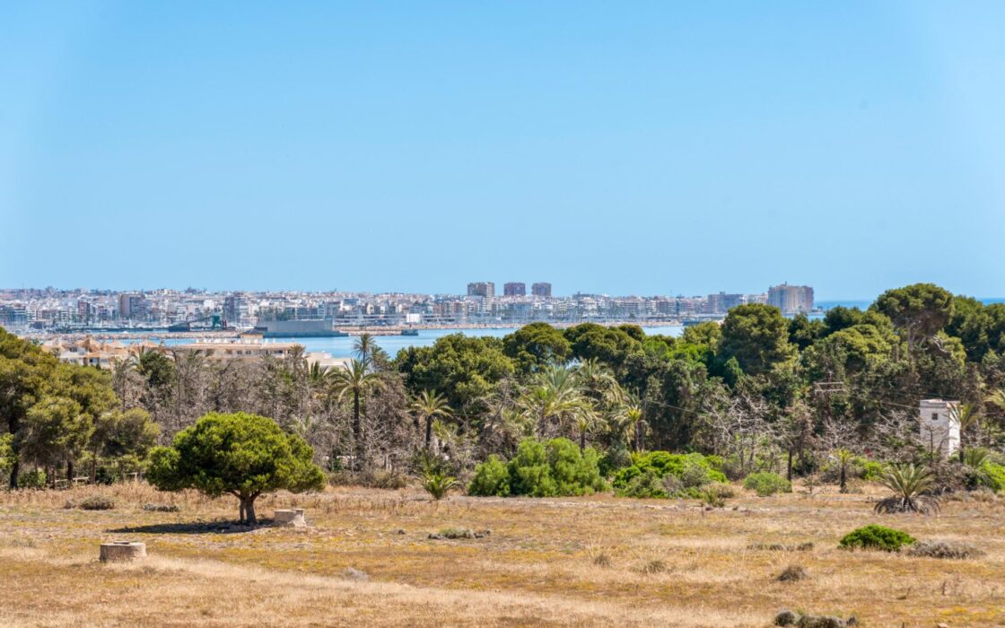 Апартаменты у моря в Пунта Прима с 2 спальнями и террасой