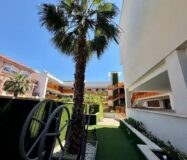 Апартаменты 60 кв.м в Торревьехе 700 м от моря