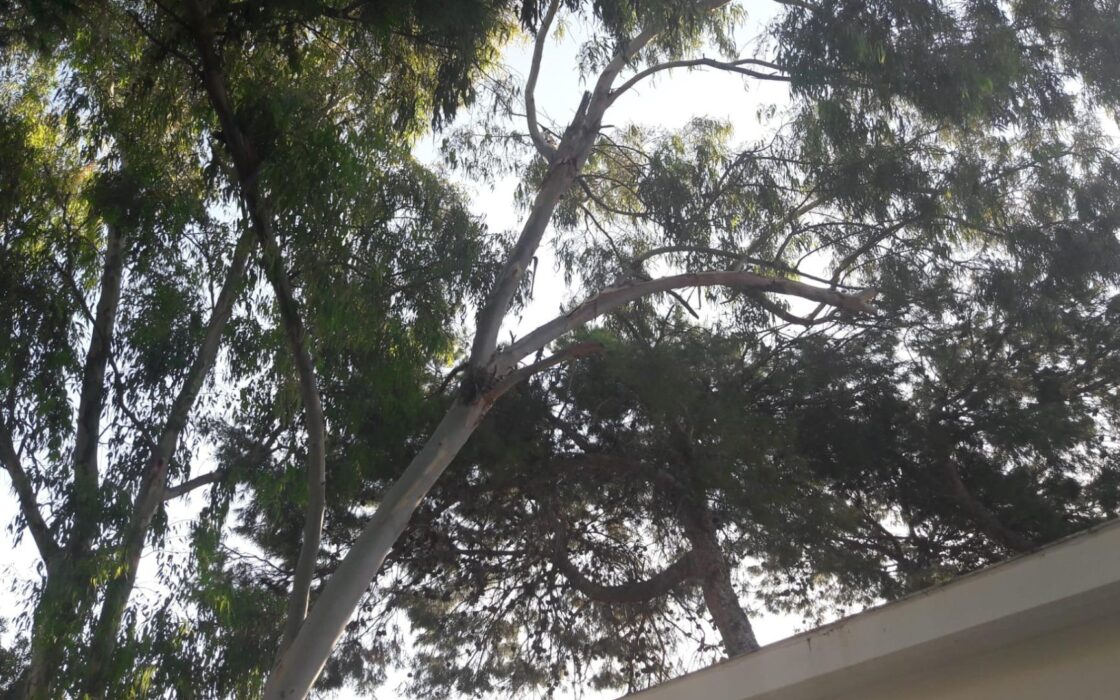 Дом 112 кв.м с террасой и видом на море в Эль Кампельо