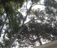 Дом 112 кв.м с террасой и видом на море в Эль Кампельо