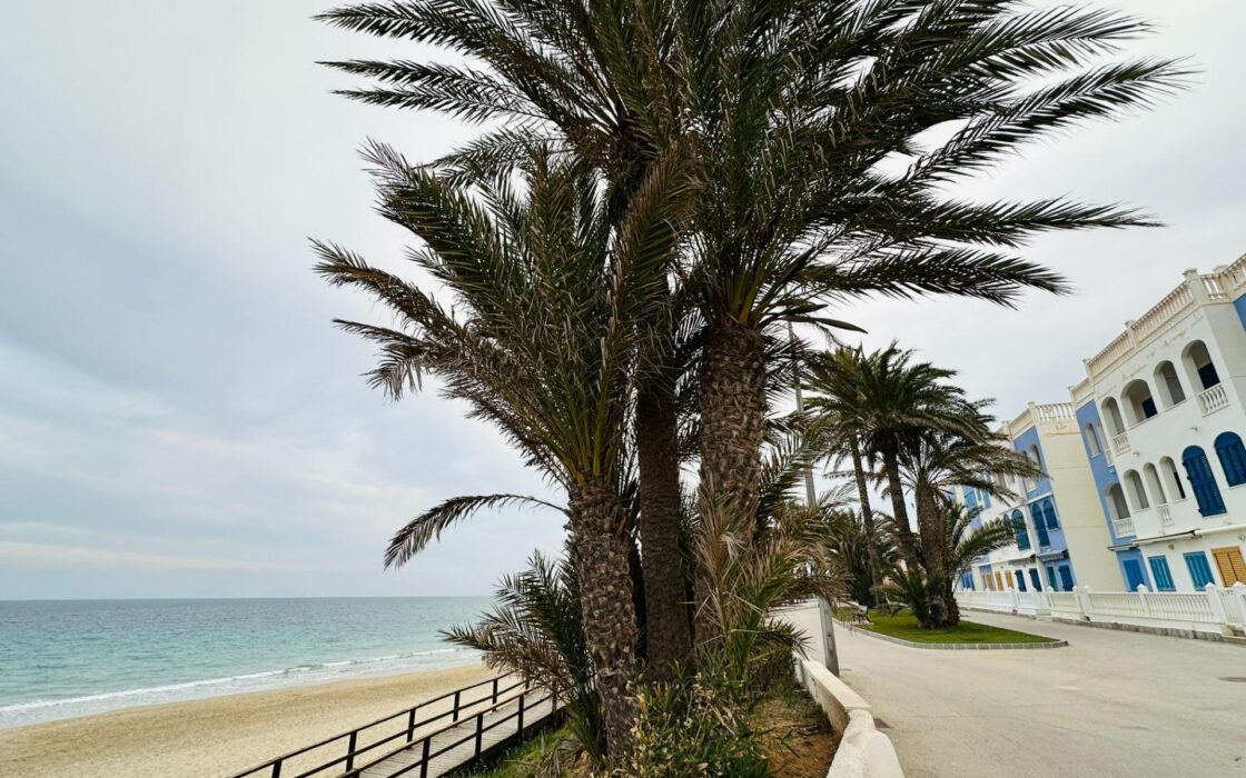 Квартира в Мил Палмерас з терасою біля моря 59 кв.м 3 спальні