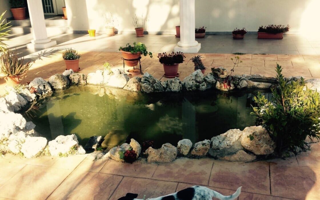 Вілла з терасою в Пікасент 475 кв.м, 5 спалень, 2010 рік