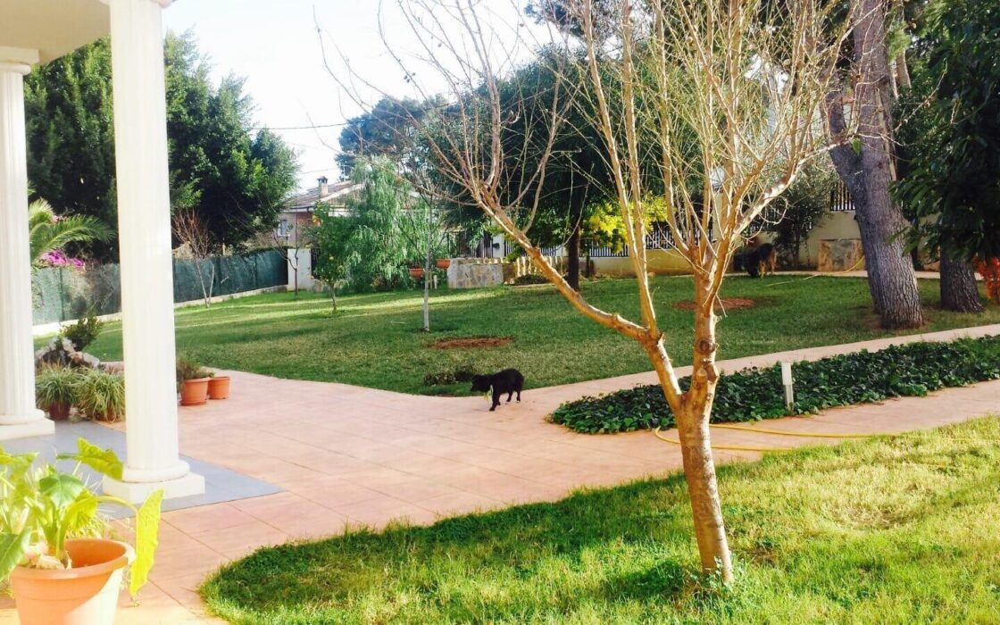 Вілла з терасою в Пікасент 475 кв.м, 5 спалень, 2010 рік