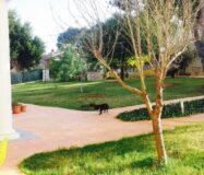 Вілла з терасою в Пікасент 475 кв.м, 5 спалень, 2010 рік