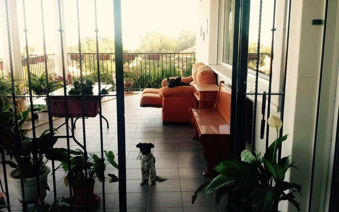 Вілла з терасою в Пікасент 475 кв.м, 5 спалень, 2010 рік