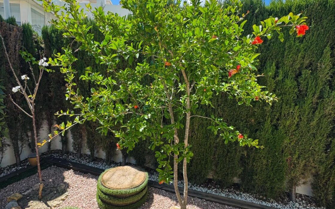 Дом в Benijofar 100 кв.м с террасой и бассейном рядом с морем