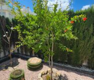 Дом в Benijofar 100 кв.м с террасой и бассейном рядом с морем