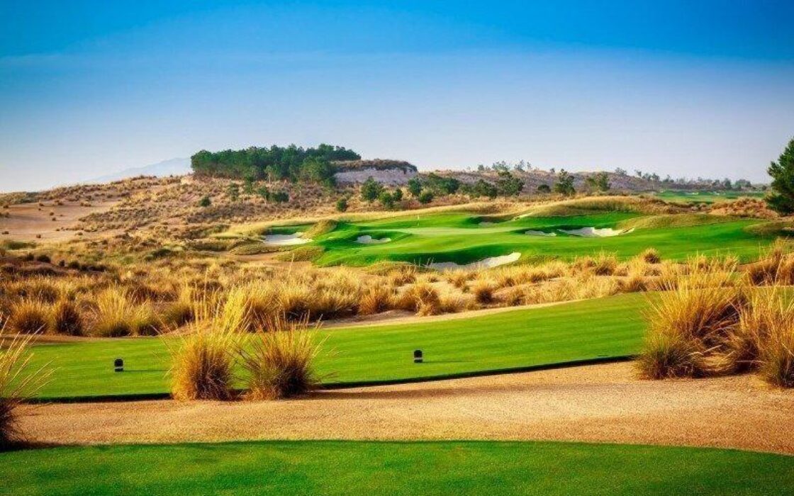 Нові вілли в Кондадо-де-Альхама з терасою та гольфом