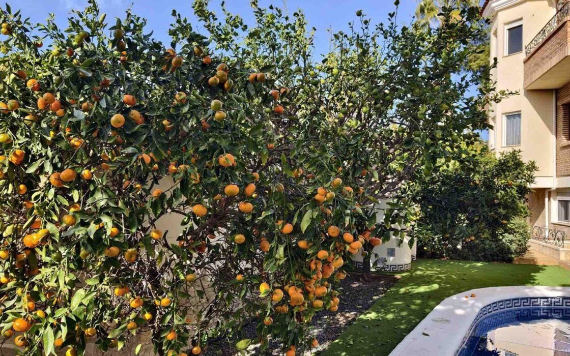 Вілла з басейном у Сьюдад-Кесада 5 кімнат 364 кв.м