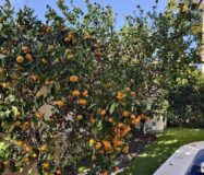 Вілла з басейном у Сьюдад-Кесада 5 кімнат 364 кв.м