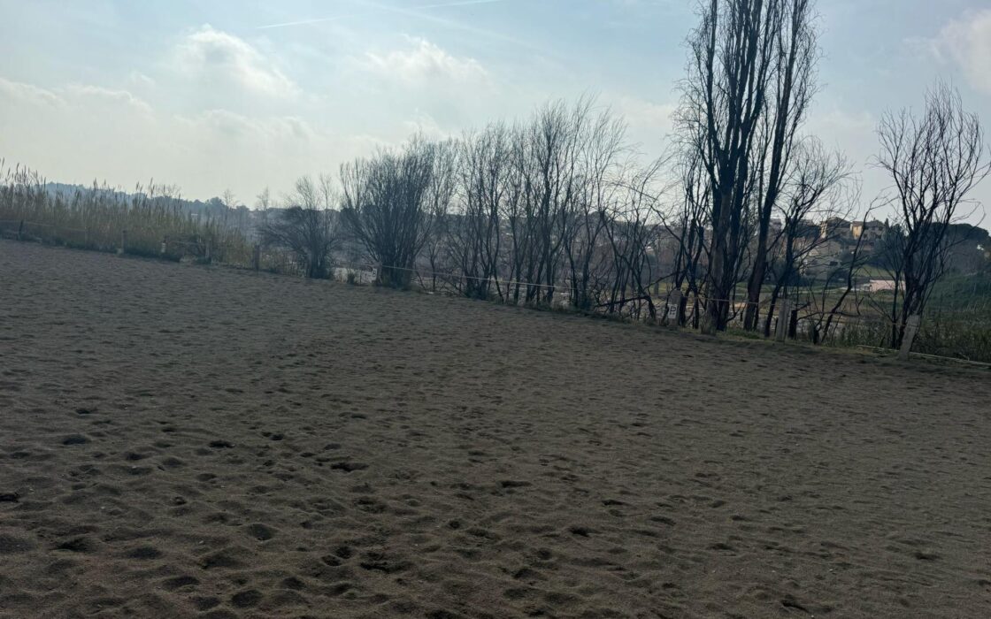 Эксклюзивный дом 300 кв.м в Рибарроха-дель-Турия с террасой