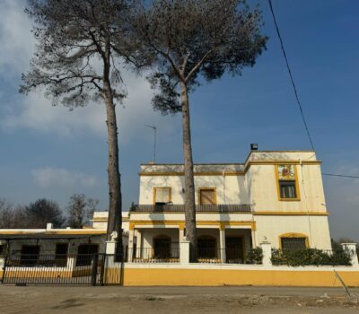 Ексклюзивний будинок 300 кв.м в Рибарроха-дель-Турія з терасою