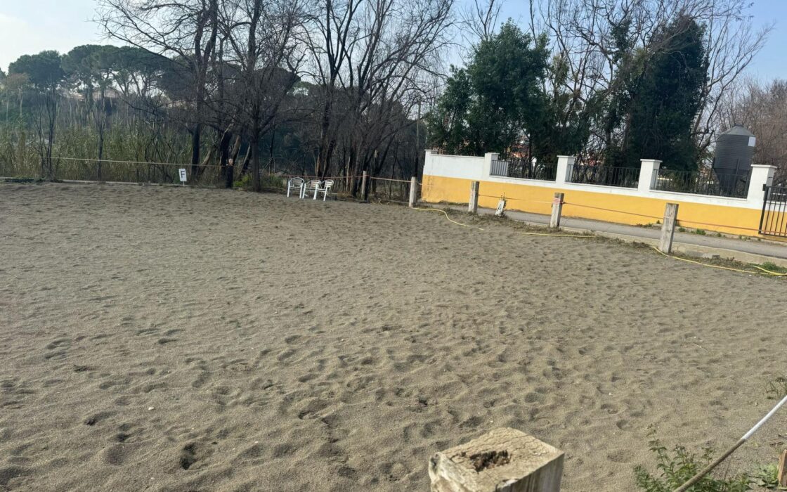 Эксклюзивный дом 300 кв.м в Рибарроха-дель-Турия с террасой