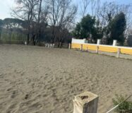 Эксклюзивный дом 300 кв.м в Рибарроха-дель-Турия с террасой