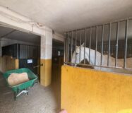 Эксклюзивный дом 300 кв.м в Рибарроха-дель-Турия с террасой