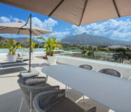 Вілла з панорамним видом в Новій Андалусії, 556 кв.м