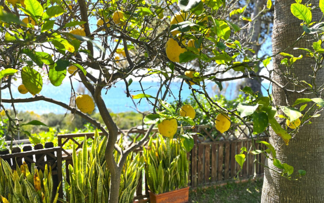 Прекрасна вілла в Андалусії з видом на море 250 кв.м