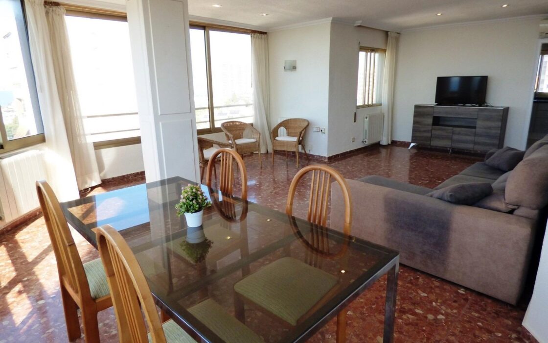 Просторные апартаменты с видом на море в San Juan Playa