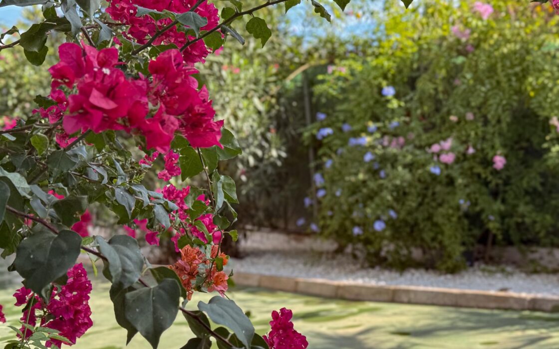 Вилла в Ориуэле с 5 спальнями и бассейном 143 кв.м