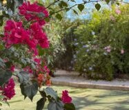 Вилла в Ориуэле с 5 спальнями и бассейном 143 кв.м