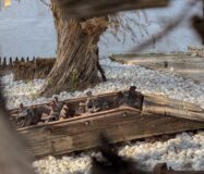 Вилла в Ориуэле с 5 спальнями и бассейном 143 кв.м