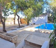 Вилла в Ориуэле 12000 кв.м с бассейном у моря