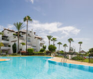 Квартира 140 кв.м с террасой в центре города