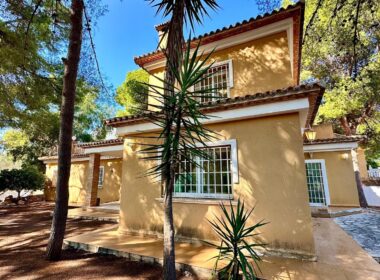 Вілла біля моря в Лас Ротас з садом та терасами 200 кв.м