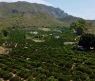 Дом в Alzira 400 кв.м, 4 комнаты, новый у моря