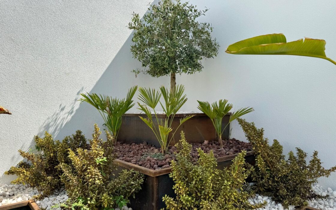 Вилла в Торревьехе 125 кв.м с террасой у моря