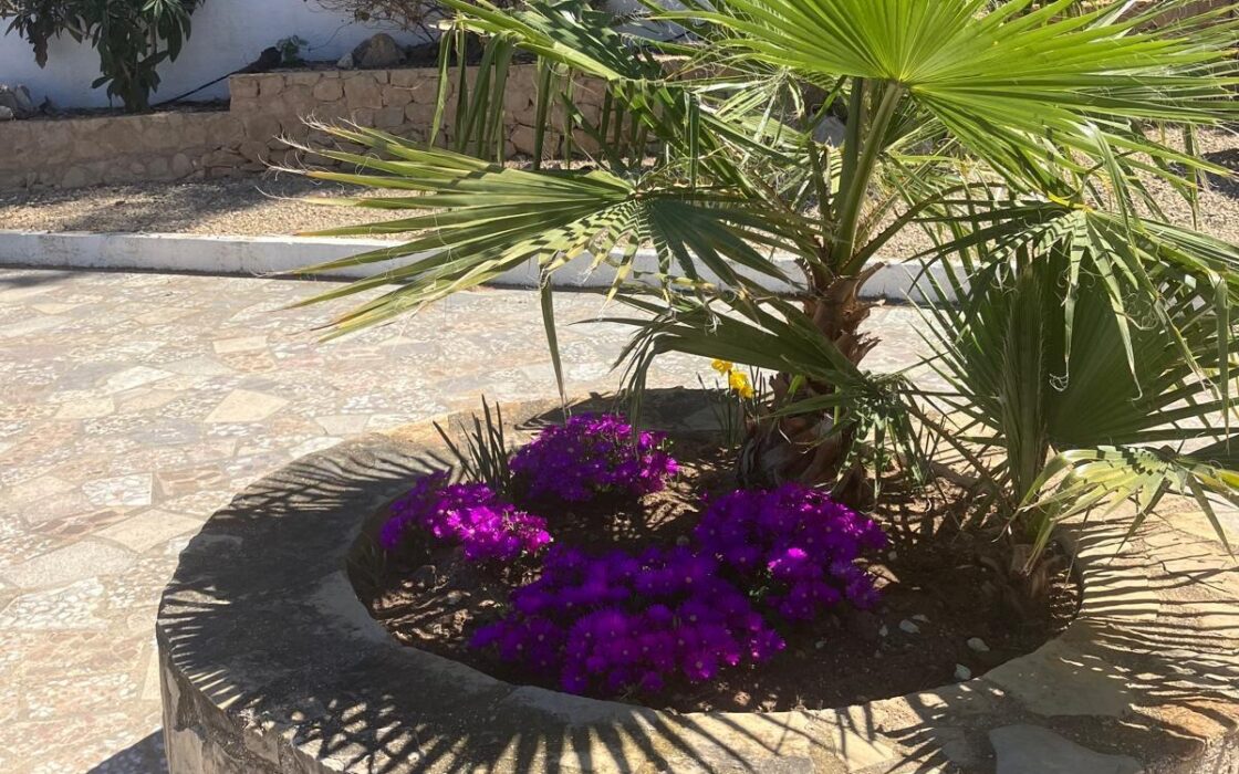 Вілла в Альбірі з терасою та панорамним видом 380 кв.м