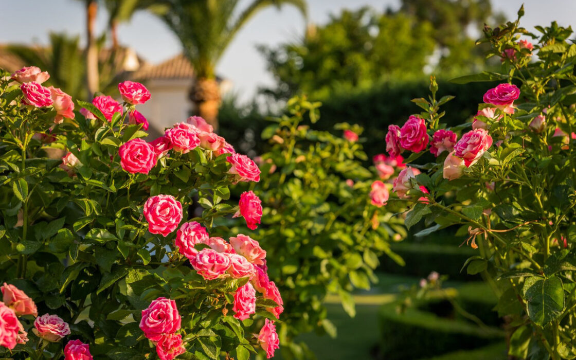 Вилла на Востоке Марбельи, 7 спален, терраса, 1190 кв.м.