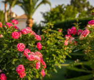 Вилла на Востоке Марбельи, 7 спален, терраса, 1190 кв.м.