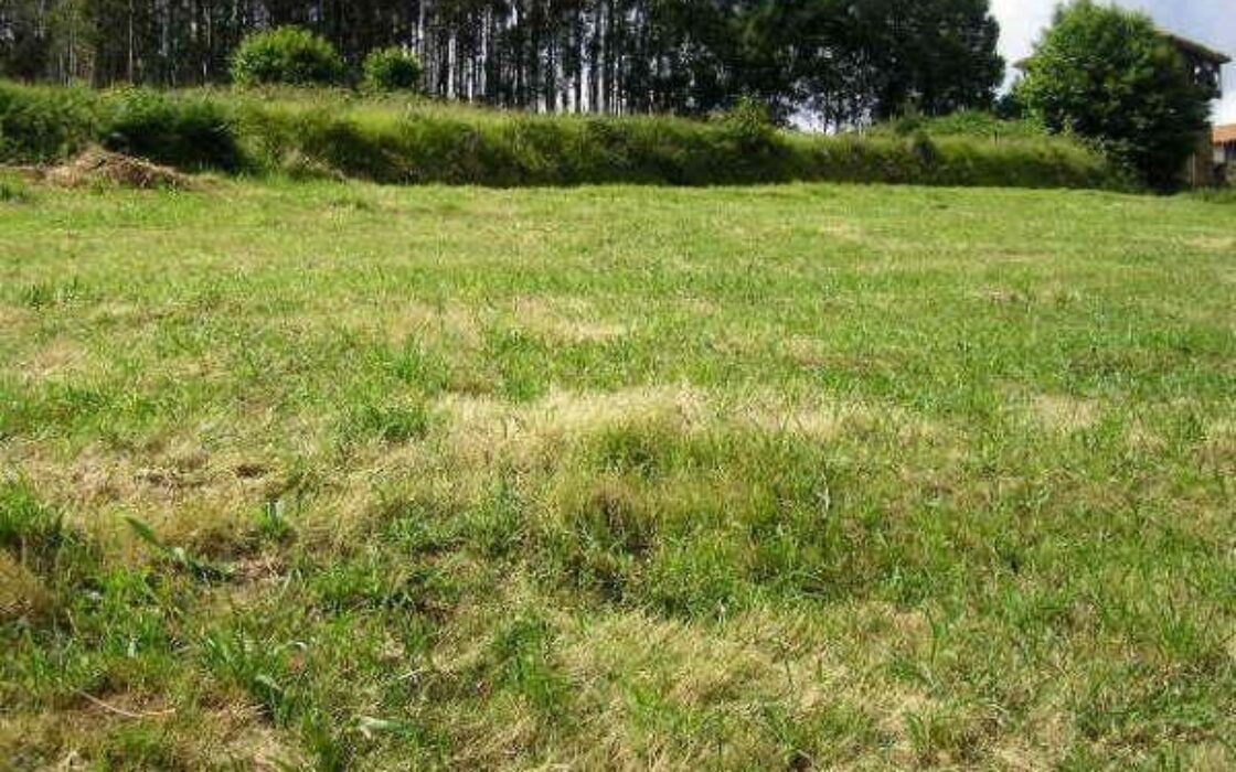 Апартаменты в Норенья 78 кв.м, 3 спальни, с лифтом