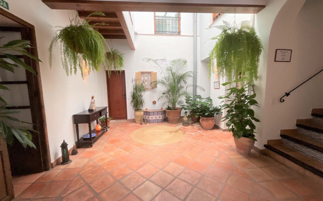 Отель в Марбелье 550 кв.м с террасой в Старом Городе