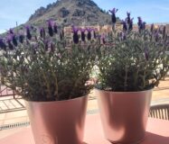 Апартаменти 104 кв.м з терасою в Вільянуеві дель Ріо Сегура