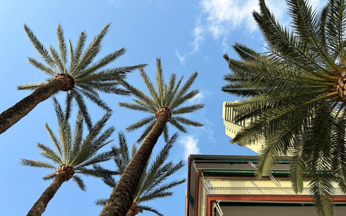 Светлая квартира у моря в Бенидорме 90 кв.м с террасой