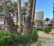 Светлая квартира у моря в Бенидорме 90 кв.м с террасой