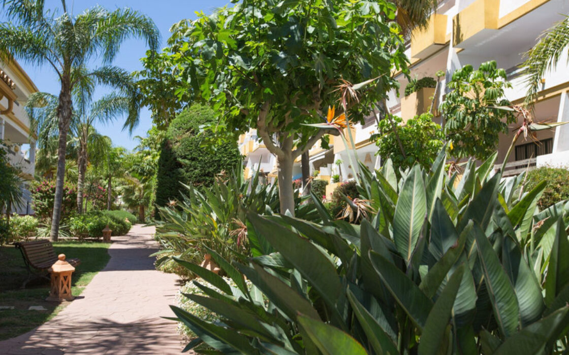 Квартира в Михасі з терасою та видом на море 80 кв.м