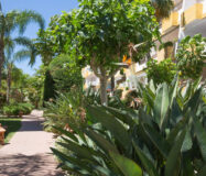 Квартира в Михасі з терасою та видом на море 80 кв.м