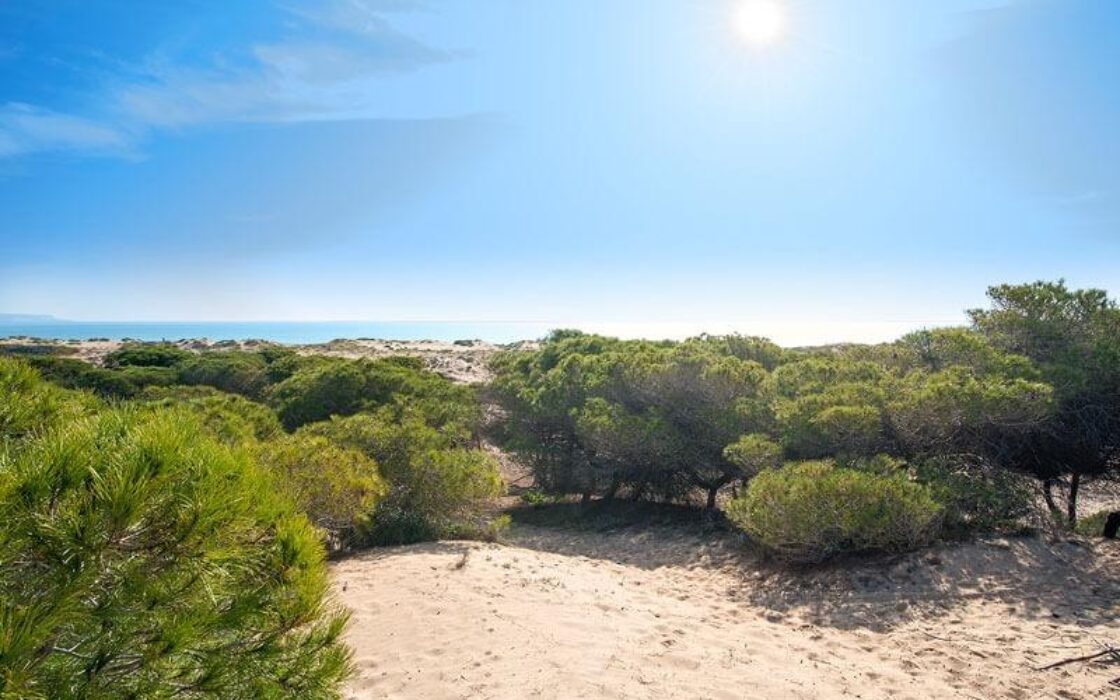 Новые дома с частным бассейном в Ла-Марина у моря