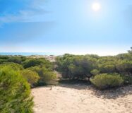 Новые дома с частным бассейном в Ла-Марина у моря