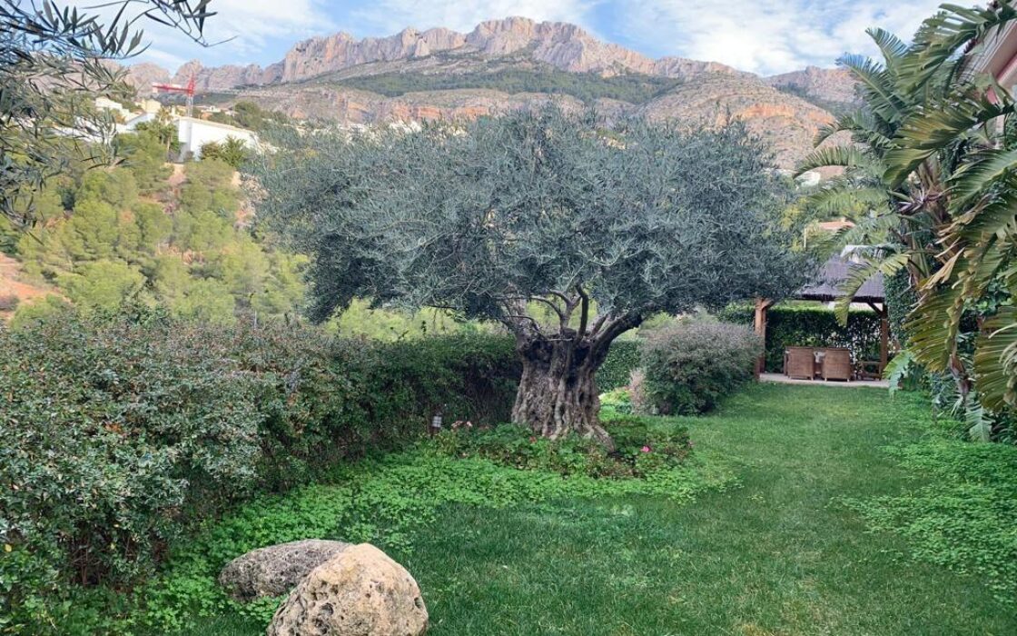 Тиха вілла в Альтеа біля моря з терасою та басейном