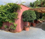 Тиха вілла в Альтеа біля моря з терасою та басейном