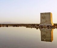 Нові будинки в Ла-Марина з басейном за 500 м від пляжу