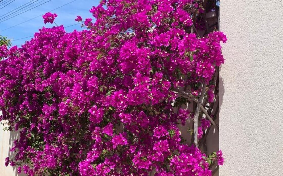 Эффектная вилла в Сьюдад-Кесада с бассейном и видом 236 кв.м