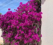 Эффектная вилла в Сьюдад-Кесада с бассейном и видом 236 кв.м