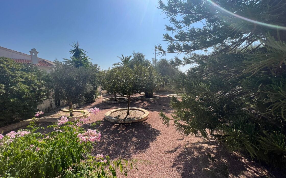 Эффектная вилла в Сьюдад-Кесада с бассейном и видом 236 кв.м